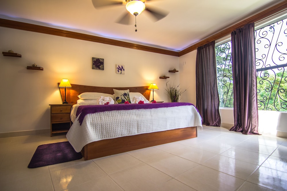 Bocawina Rainforest Resort Adventures 3/50