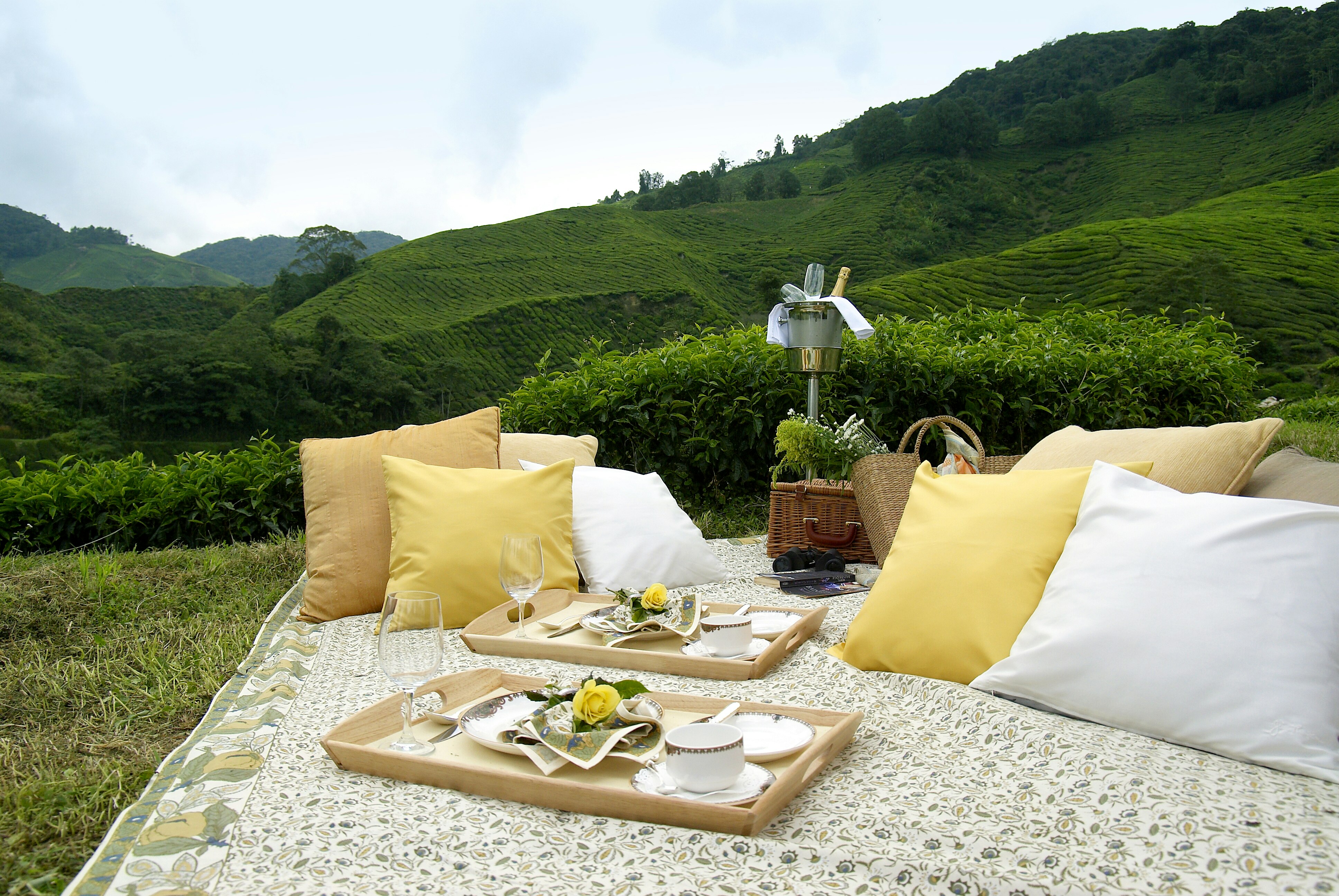 CAMERON HIGHLANDS RESORT 37/74