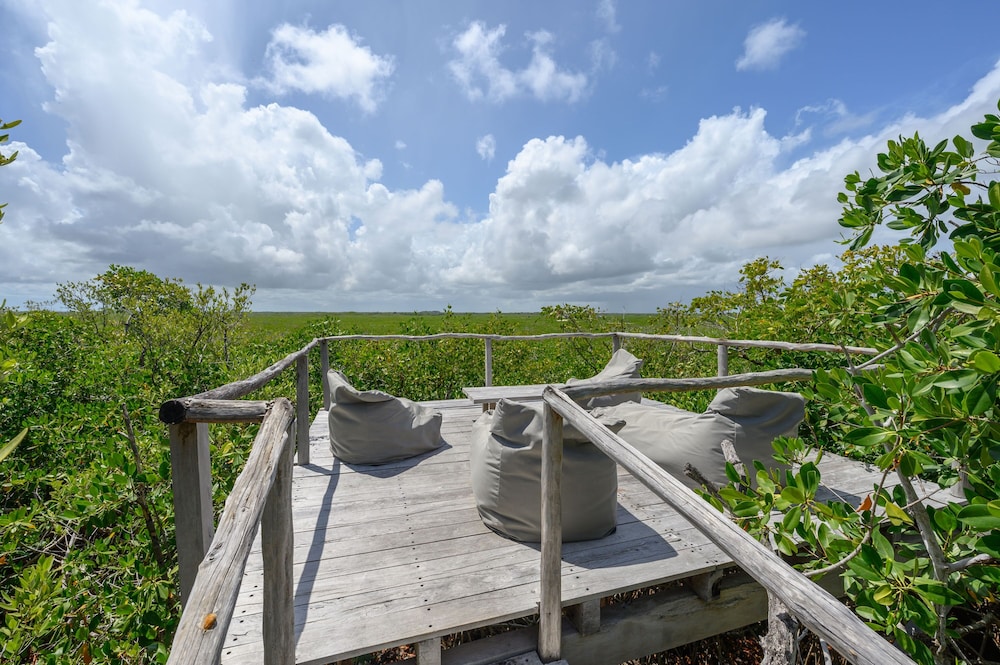 Vida Silvestre Tulum 46/50