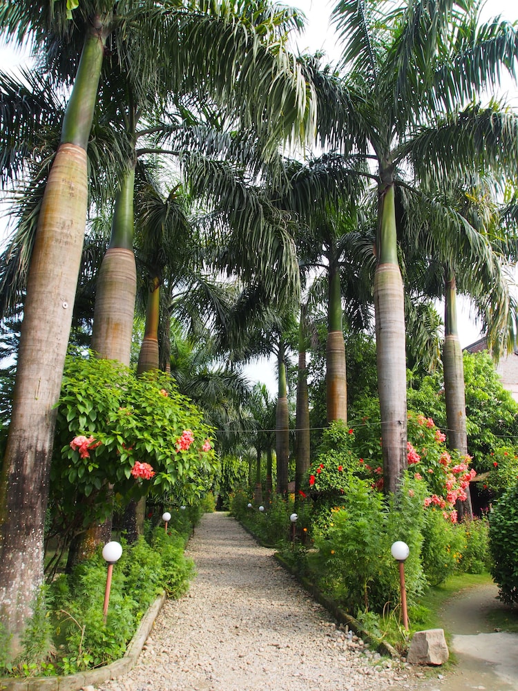 Sauraha Resort 41/50