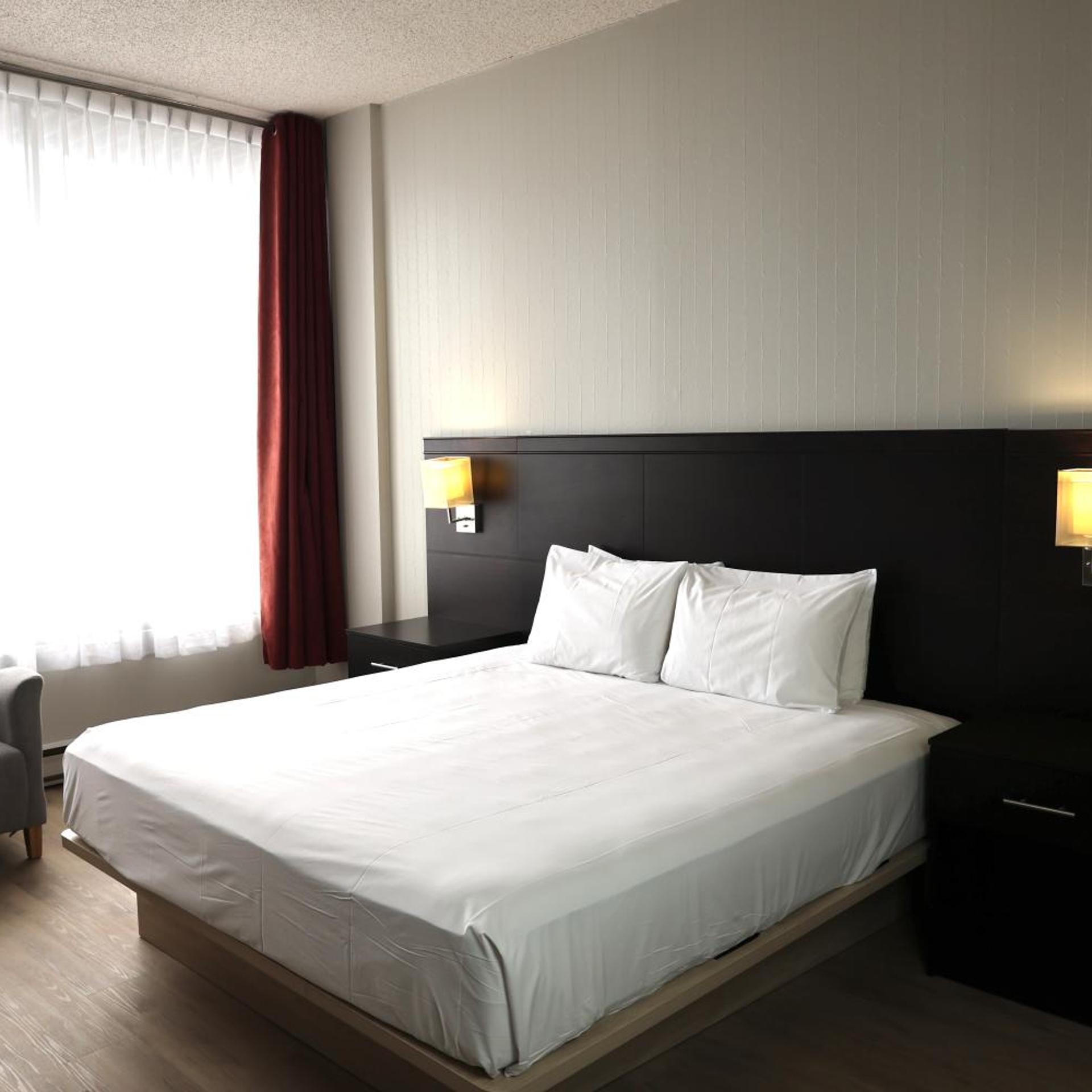 Suite, King Bed, Sofa