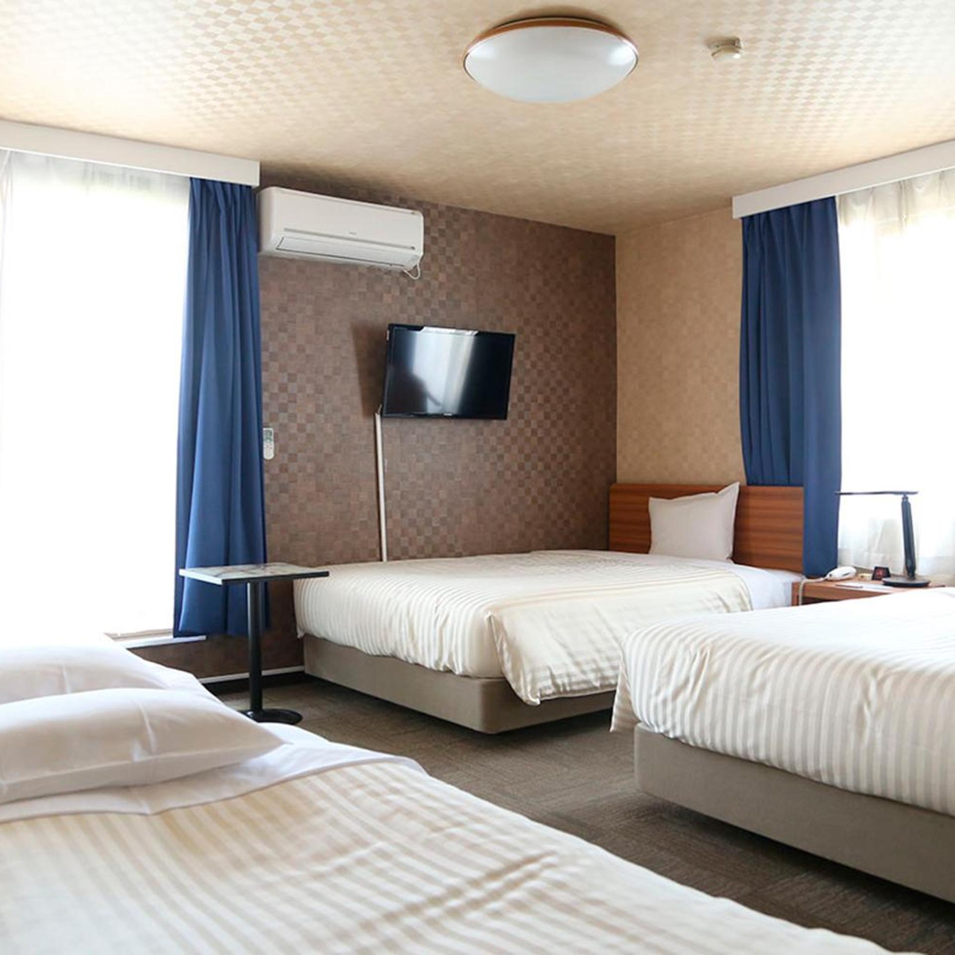 Tokyo Ueno New Izu Hotel (ex New Izu Hotel) 14/33