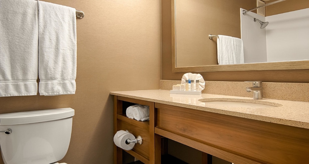 Best Western Grant Park Hotel 20/55