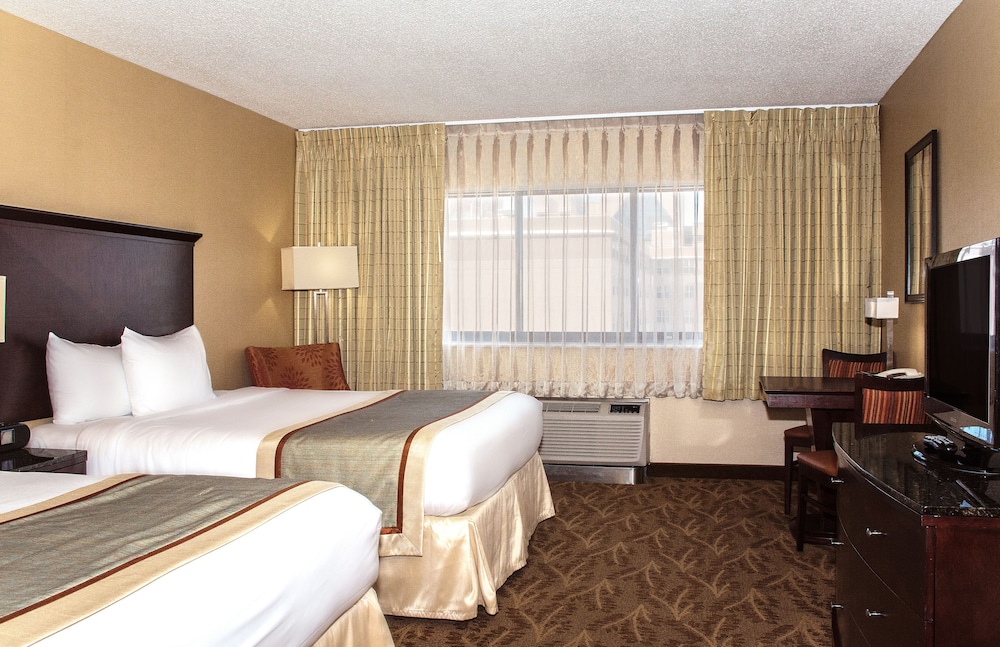 Suite, 2 Double Beds