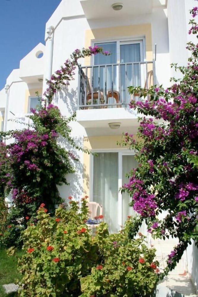Viras Hotel 8/45