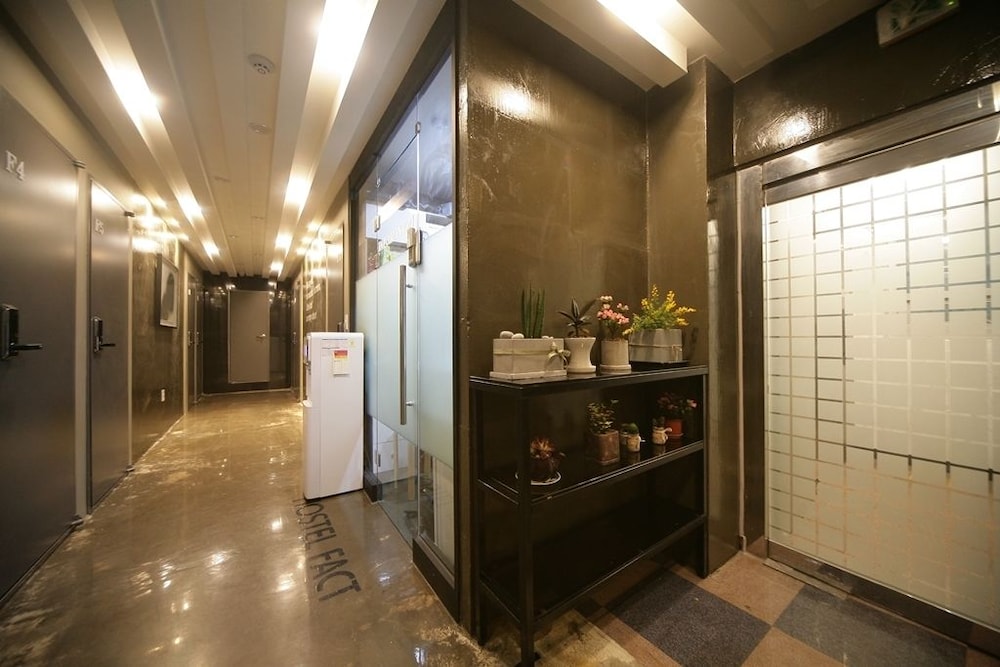 Stella Hostel 6/59