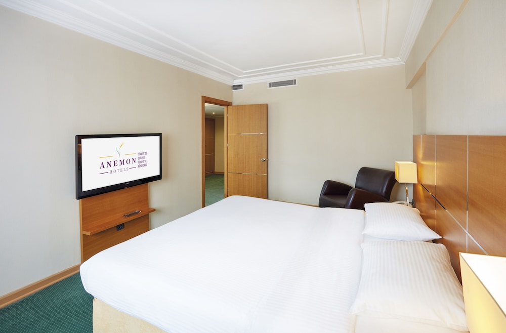 Anemon Aegean Hotel 19/73