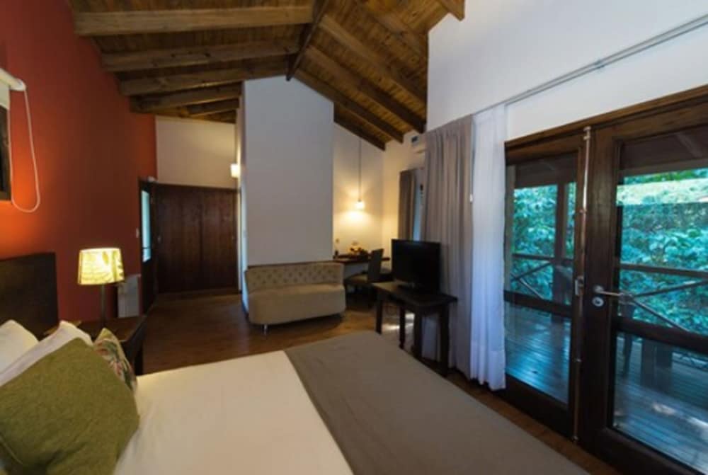 Selva de Laurel 15/71
