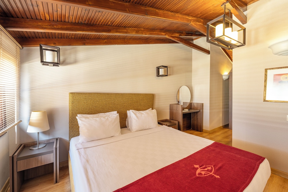 Alp Pasa Hotel 12/46