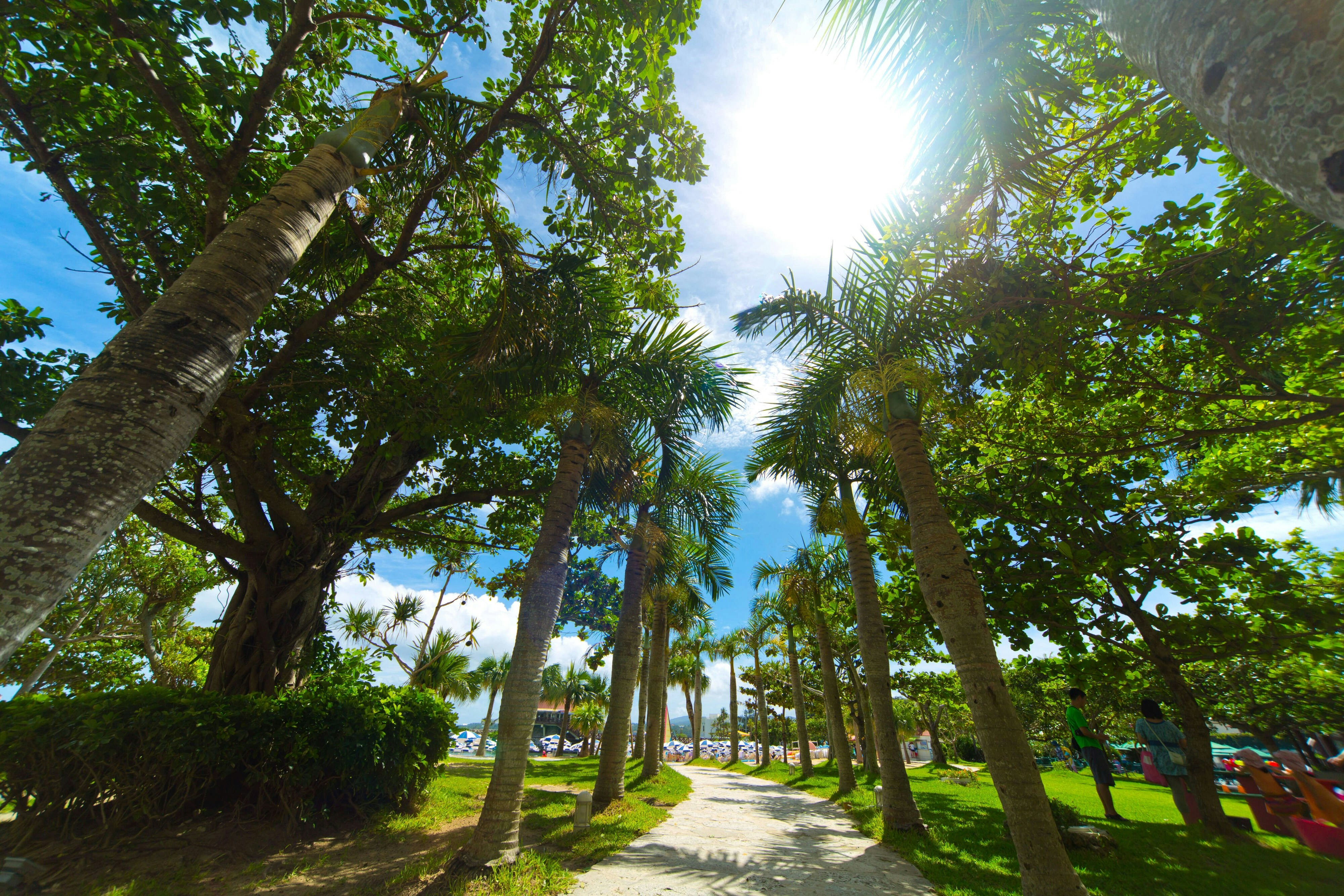 Renaissance Okinawa Resort 26/41