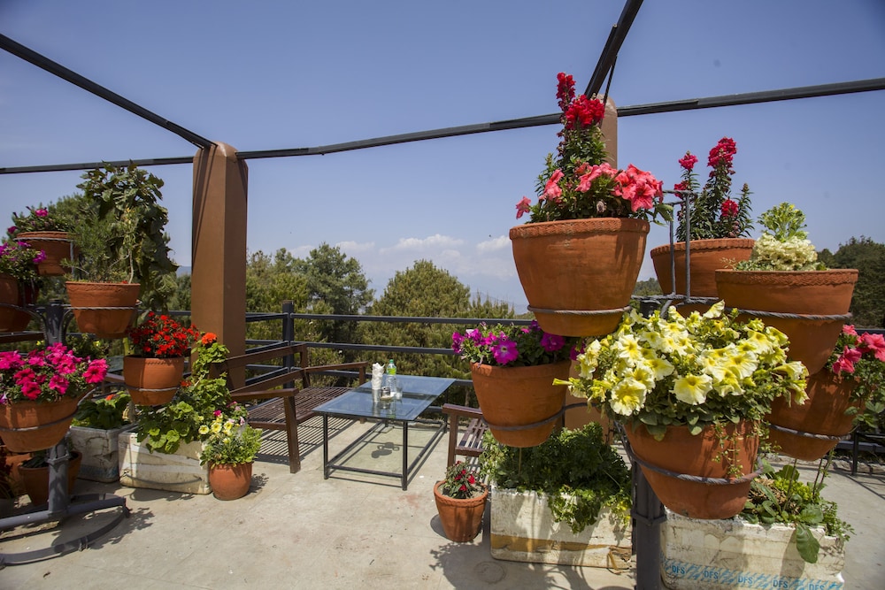 Langtang View Nagarkot Bed Breakfast 28/37