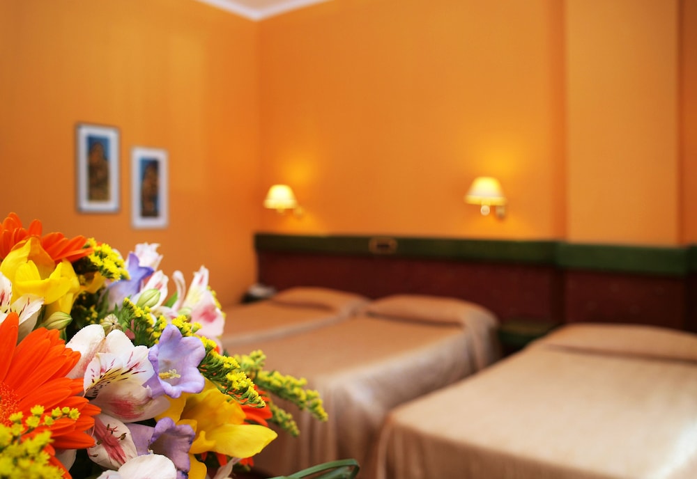 Euro Hotel 7/38