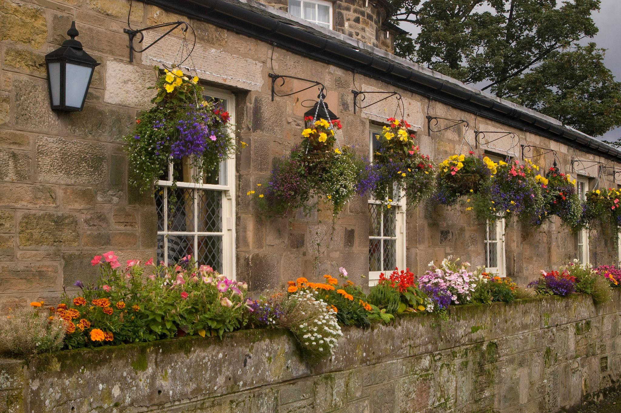 精选旅馆Edinburgh东酒店(Premier Inn Edinburgh East Hotel) 图片4