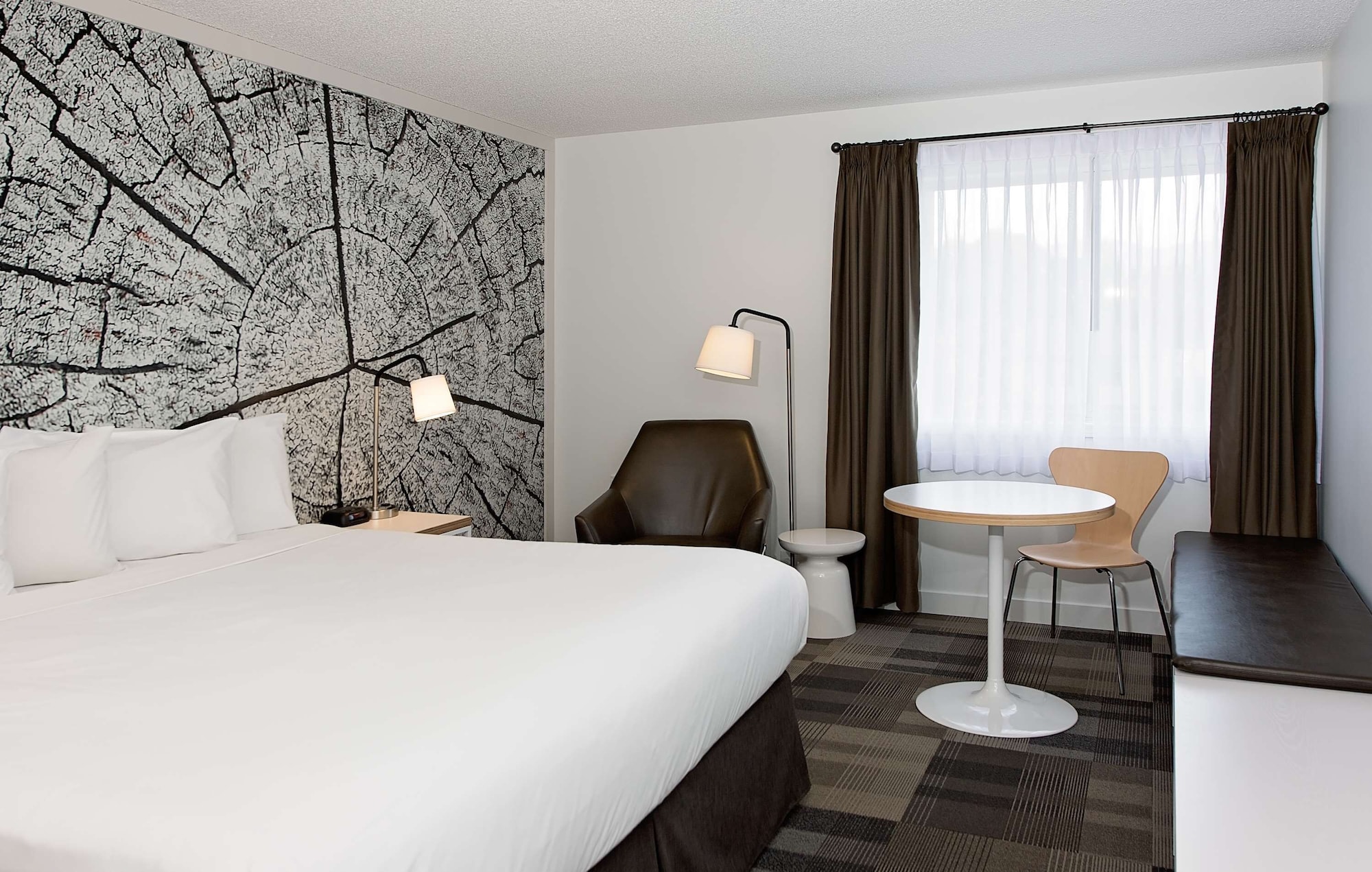 COAST, COMFORT, KING BED