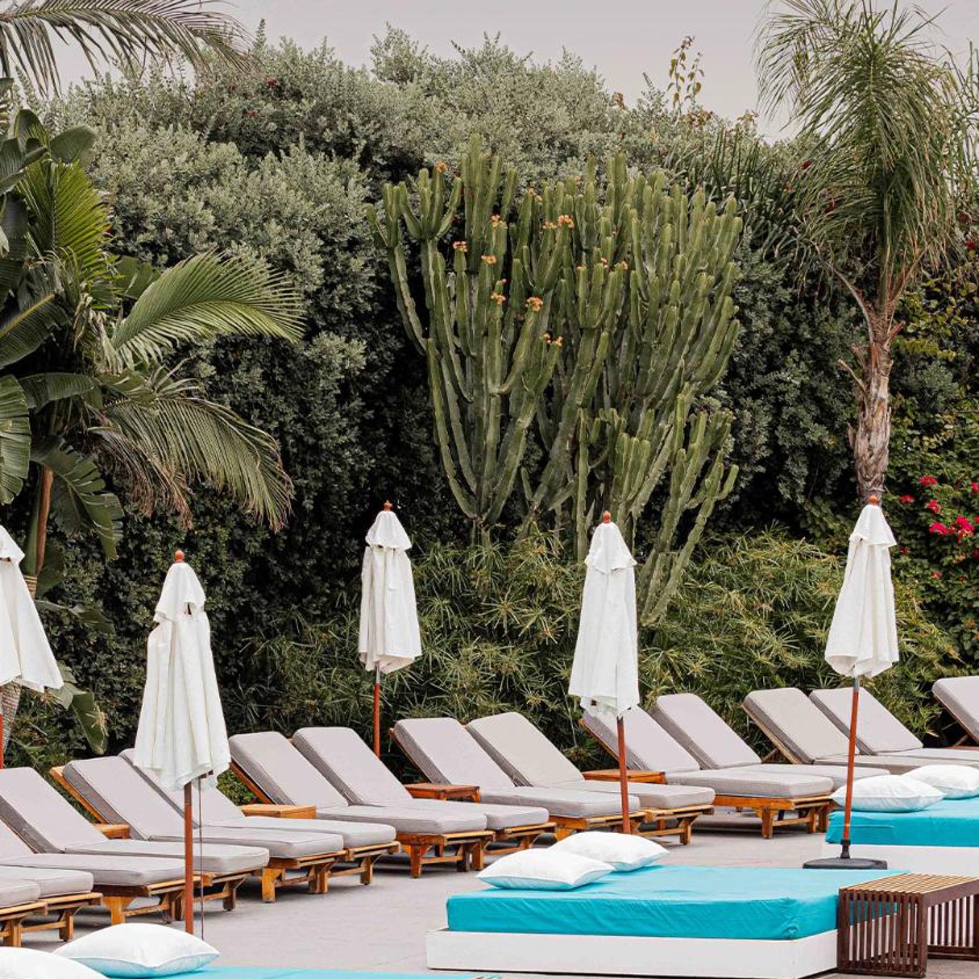Veer Boutique Hotel and Resort 49/59