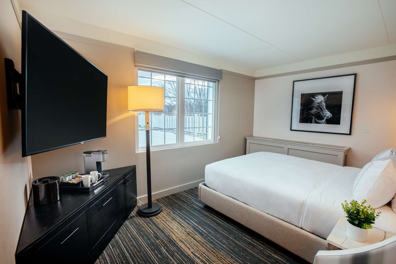 Cozy, Queen Bed, Town View