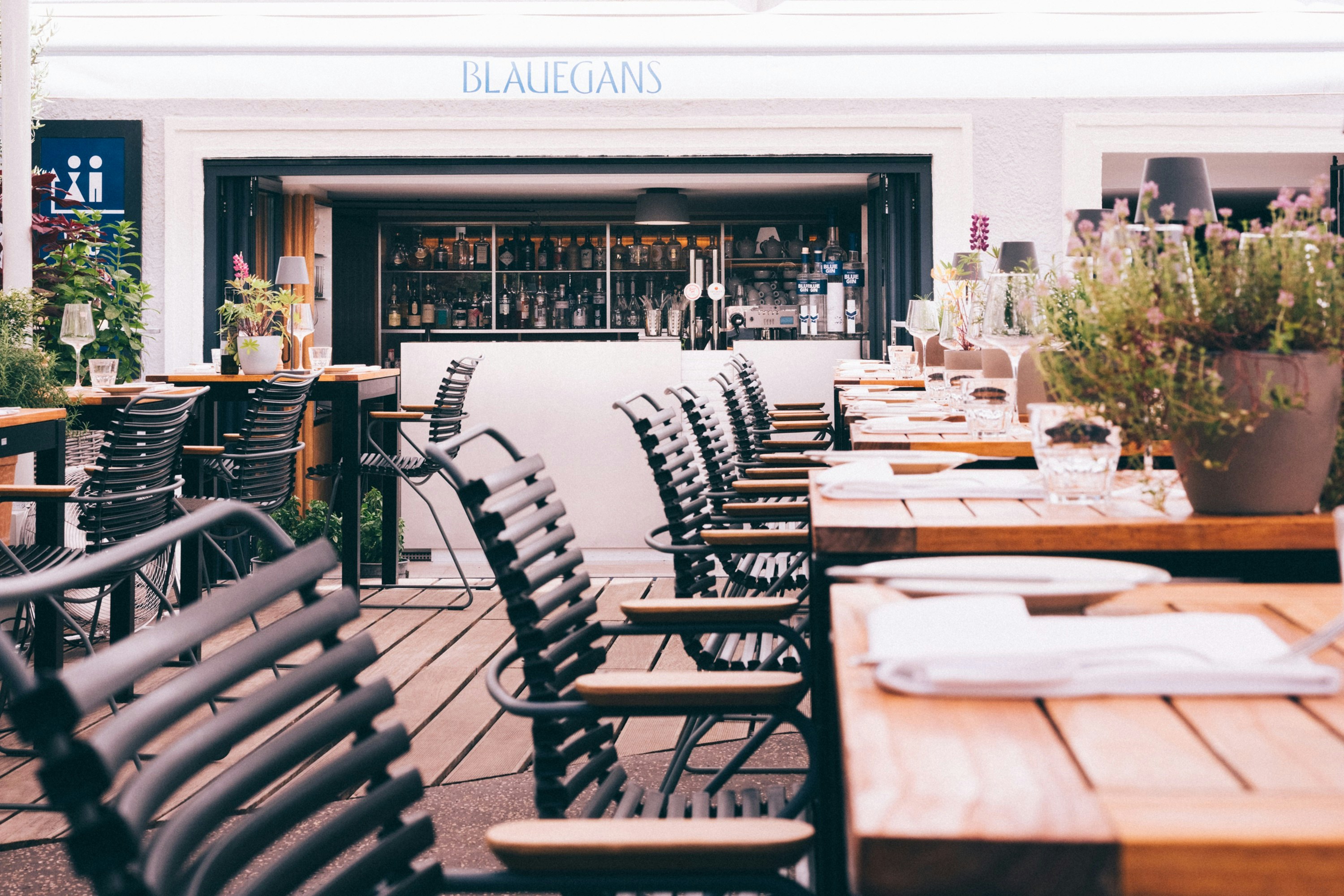 Arthotel Blaue Gans 63/76