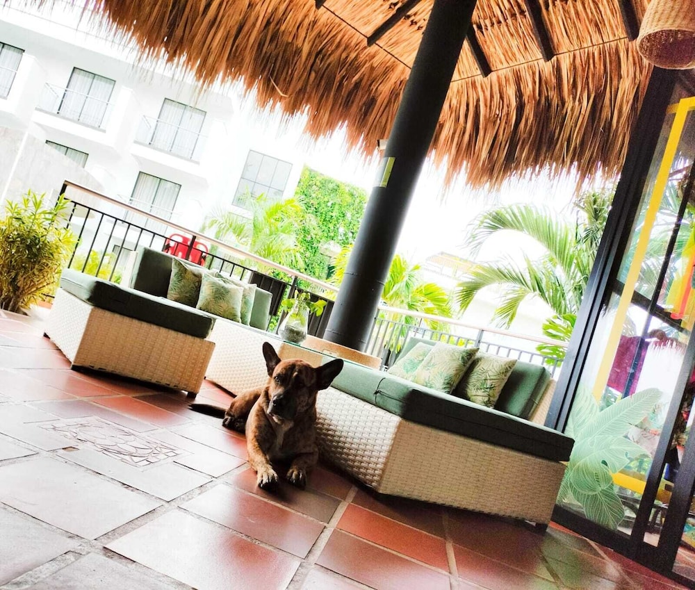 Hotel Arboreo Doradal 8/45
