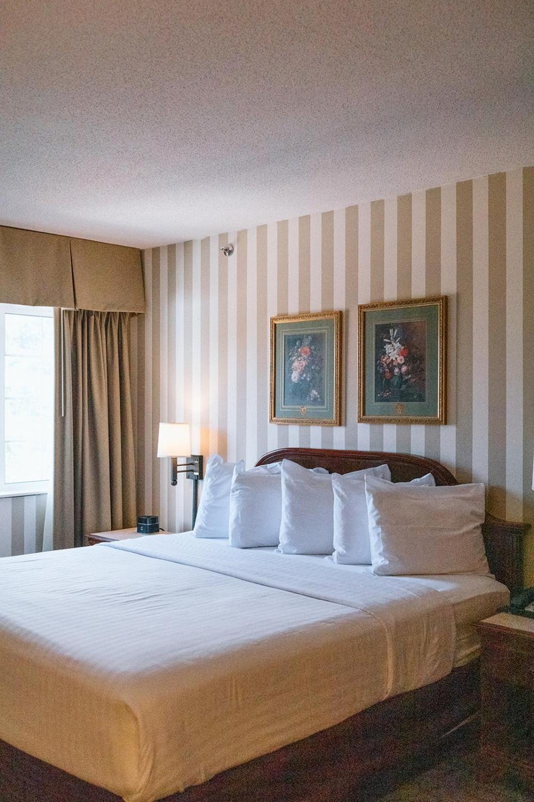 جناح كلاسيكي، Bayshore Resort 3/9
