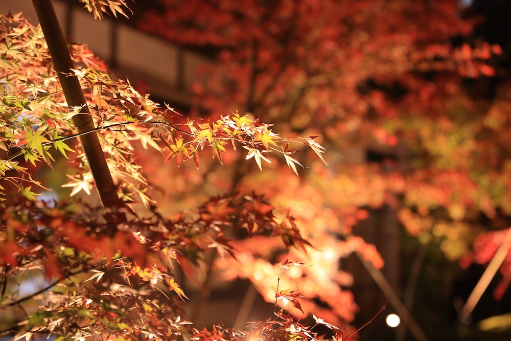 AOI Suites at Nanzenji Kan-un-an 81/92