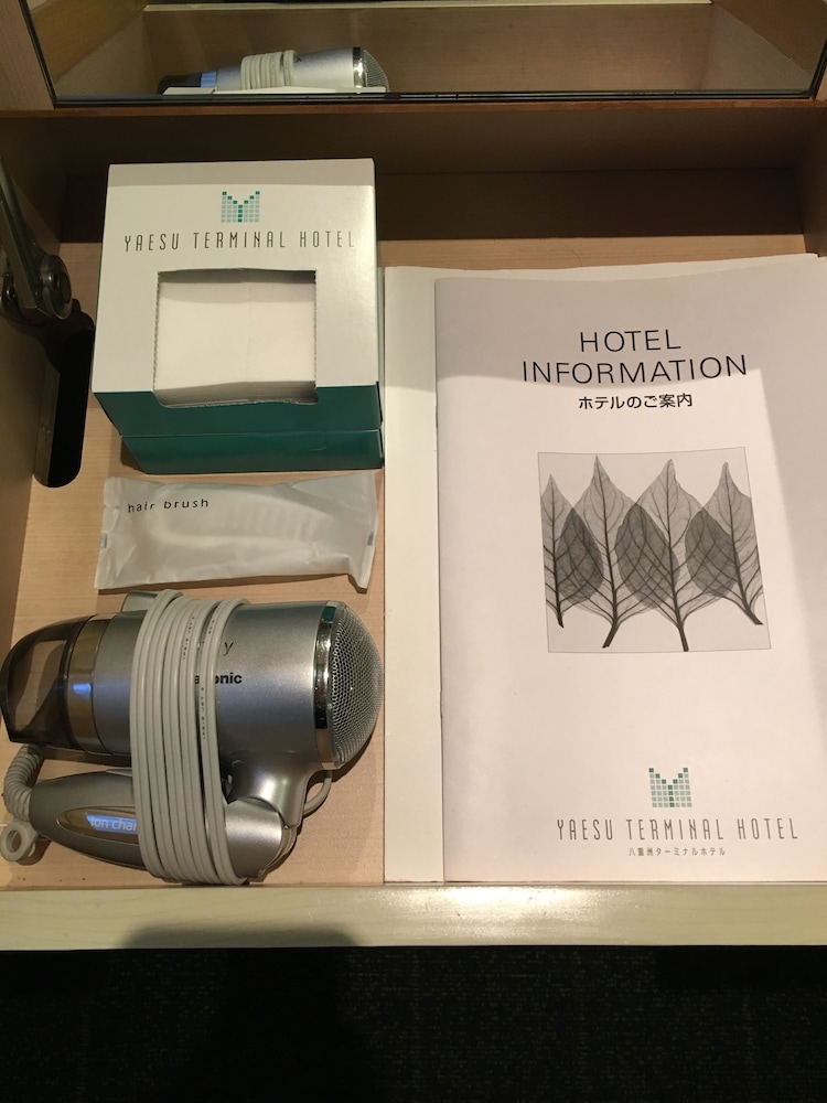 Yaesu Terminal Hotel 3/44
