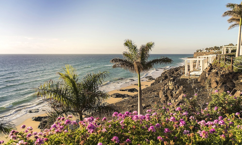 Royal Palm Resort & Spa - Adults Only 47/63