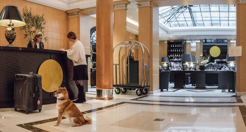Lobby at Hyatt Paris Madeleine, PARIS