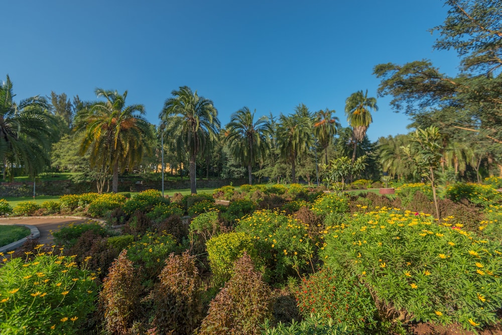 Ghion Hotel 64/69