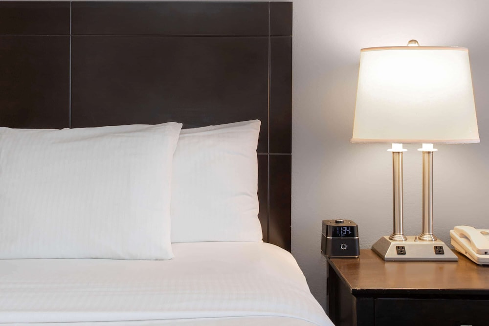 La Quinta Inn And Suites by Wyndham St. Augustine 12/49