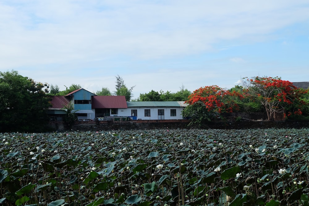 Dai Long Hotel 56/68