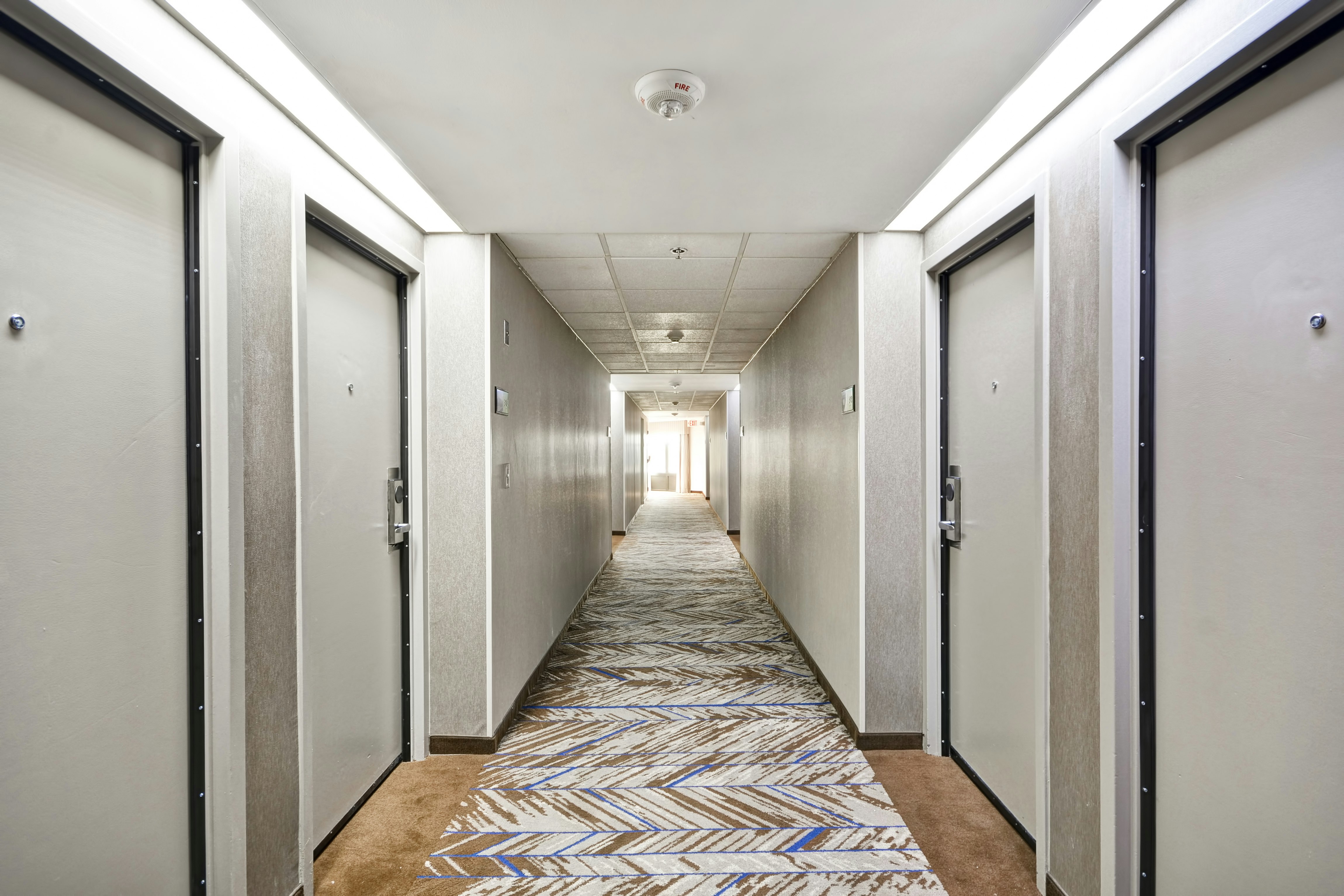 Hampton Inn Detroit/Madison Heights/South Troy 22/56