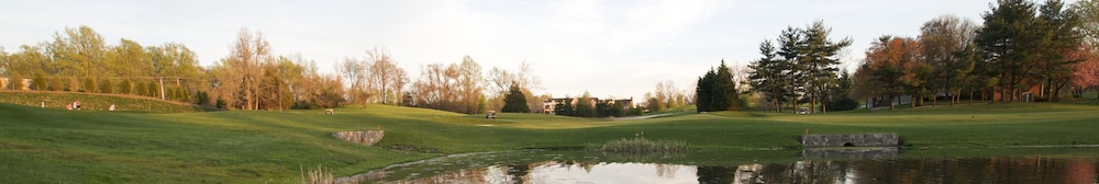 Executive Inn And Suites 25/43