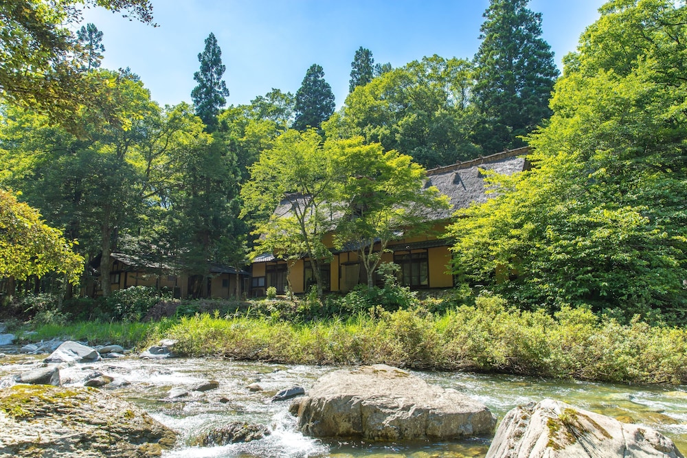 Wanosato 48/50