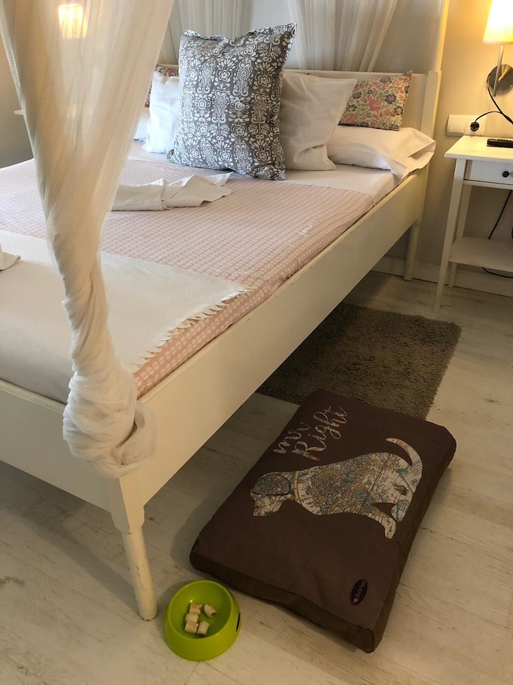 Hostal Vidamia 29/50