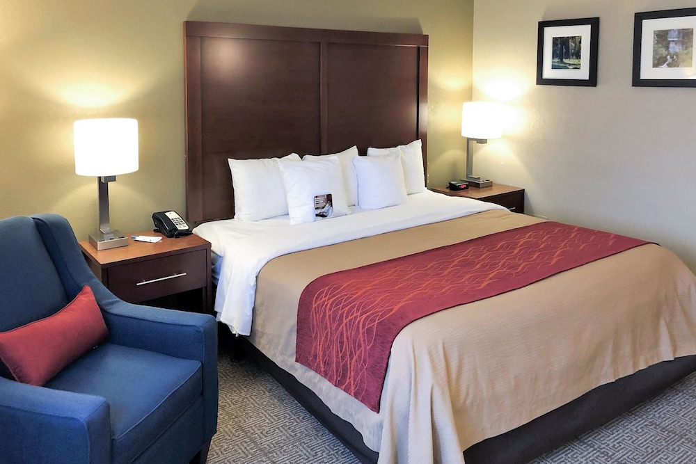 Comfort Inn Farmington Hills - Detroit Northwest 5/27