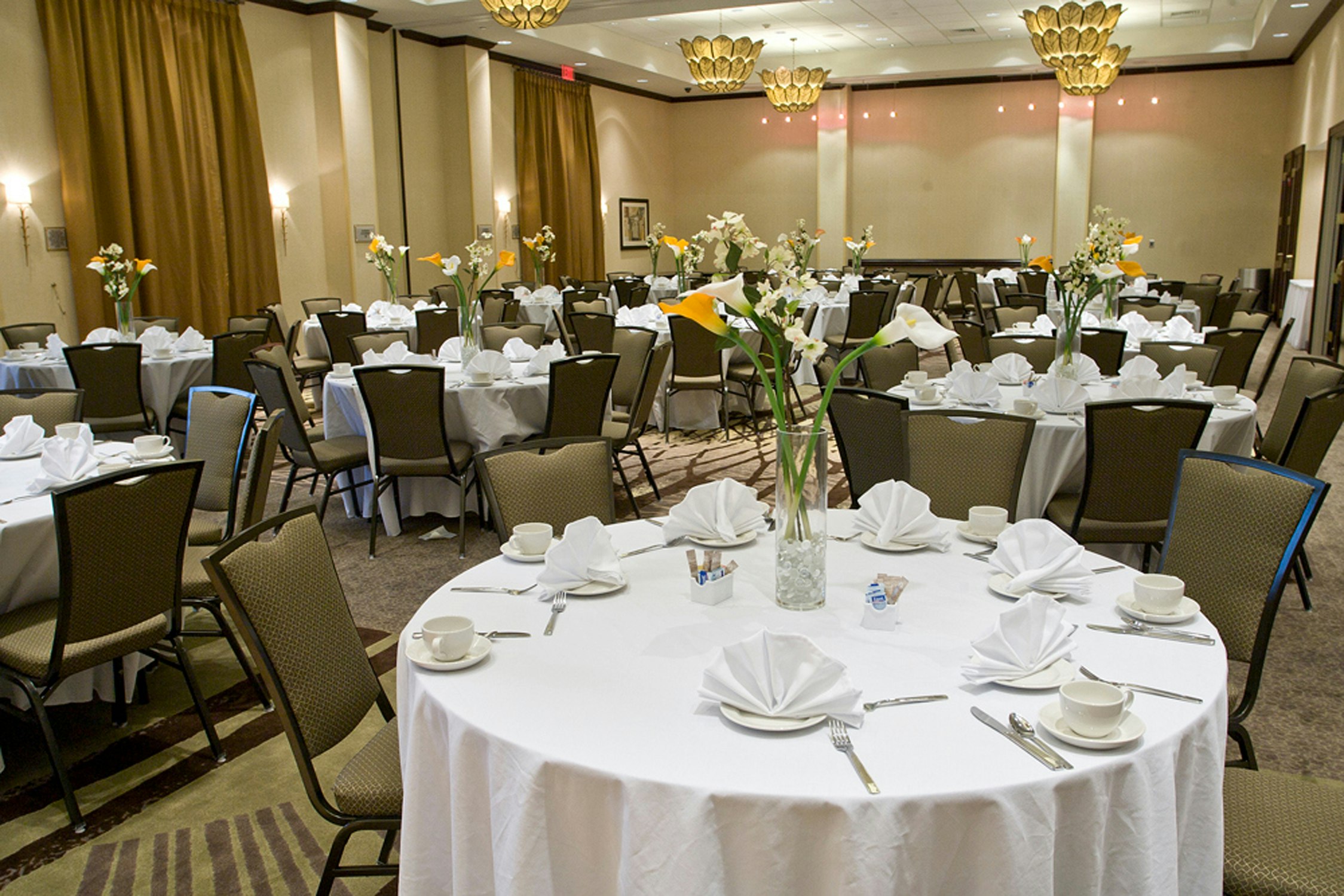 Embassy Suites By Hilton Savannah Airport 55/74