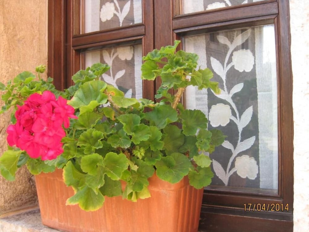 Entremontes 36/38