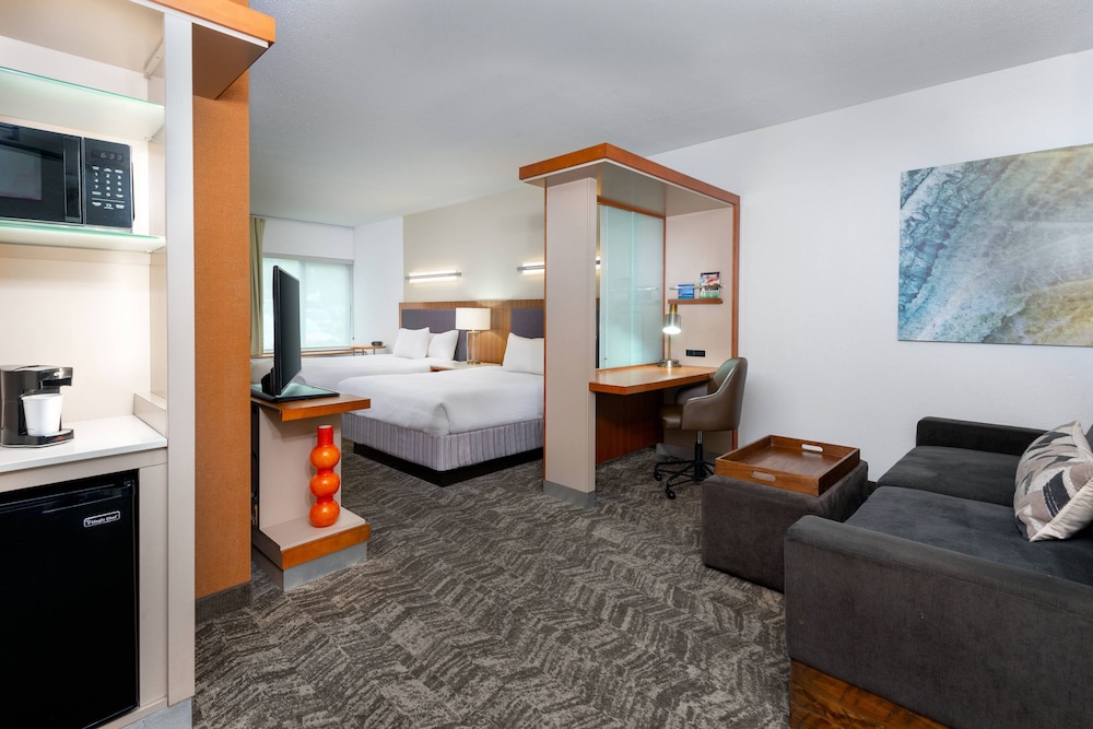 Springhill Suites Tallahassee Central 14/46