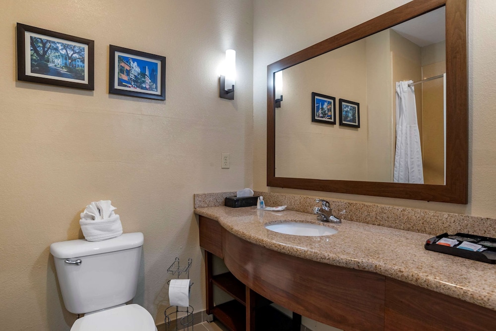 Comfort Suites Mobile West Tillmans Corner 37/40