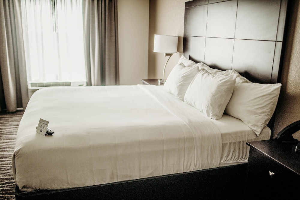 استوديو بسرير كينج مع أريكة، Cobblestone Hotel & Suites International Falls 3/3