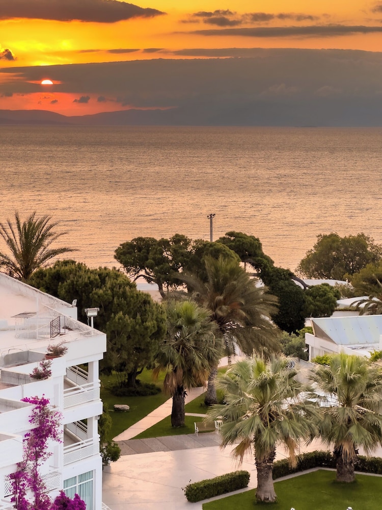 Marathon Beach Resort 66/72