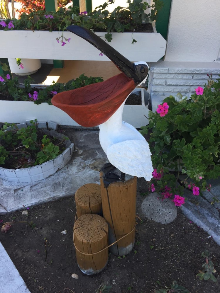 Monterey Pines Inn photo2