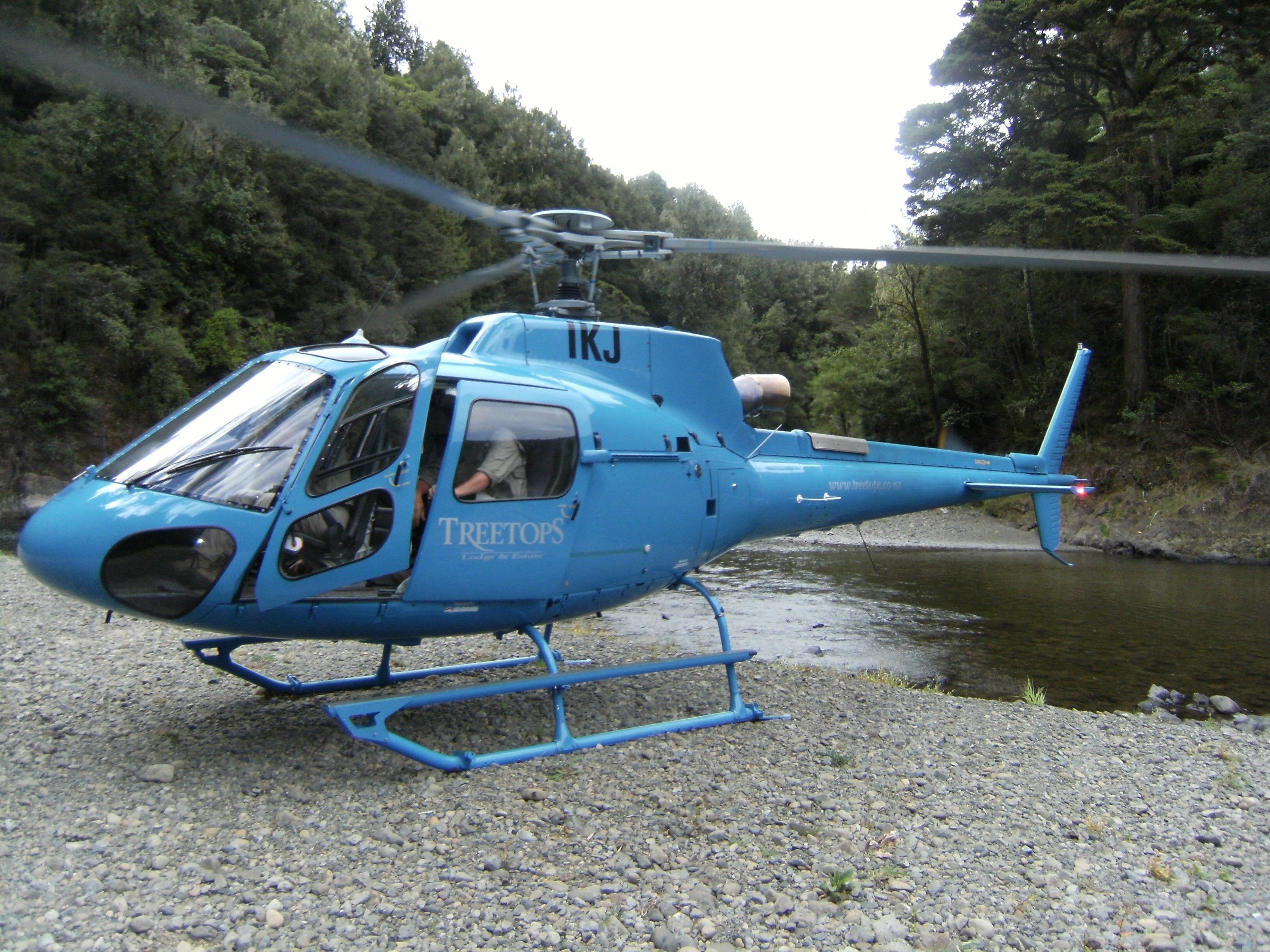 Treetops Lodge and Wilderness Experience 26/59