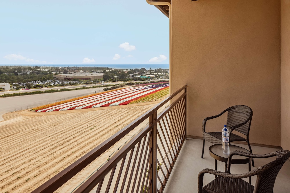 The Cassara Carlsbad Tapestry Collection By Hilton 32/63