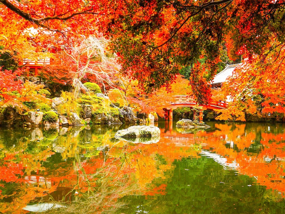 eph Kyoto 24/29
