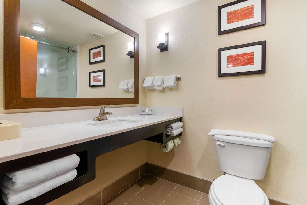 Comfort Inn & Suites Macon West 19/41
