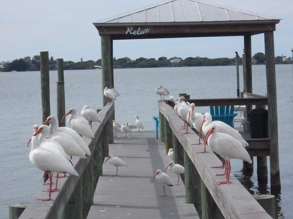 Paradise Cove at Lemon Bay 58/71