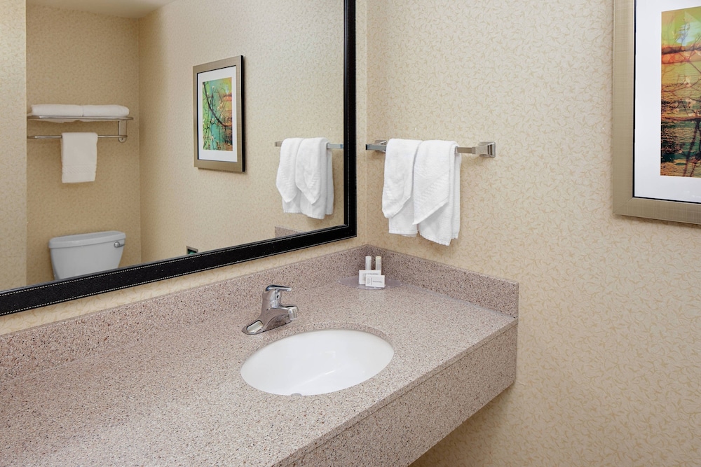 Fairfield Inn & Suites Detroit Metro Airport Romulus 6/22