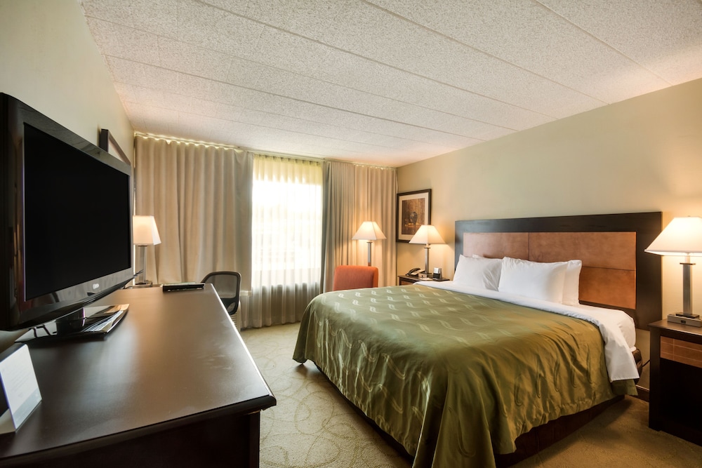 Standard, Single, King Bed