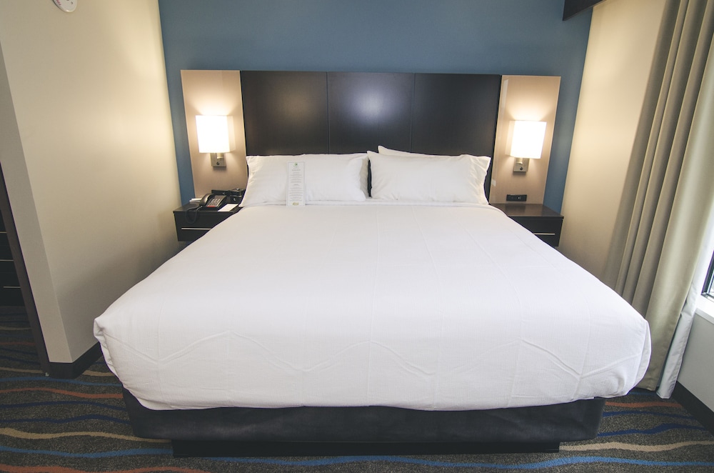 Holiday Inn Hotel & Suites CHATTANOOGA DOWNTOWN 14/65